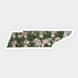 Tennessee Irises Sticker